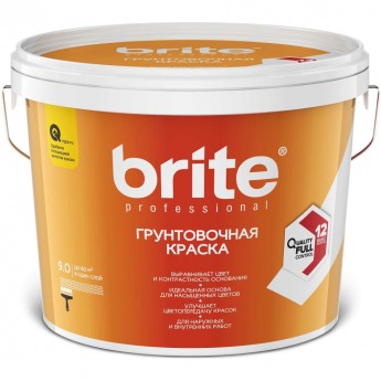 Краска BRITE PROFESSIONAL