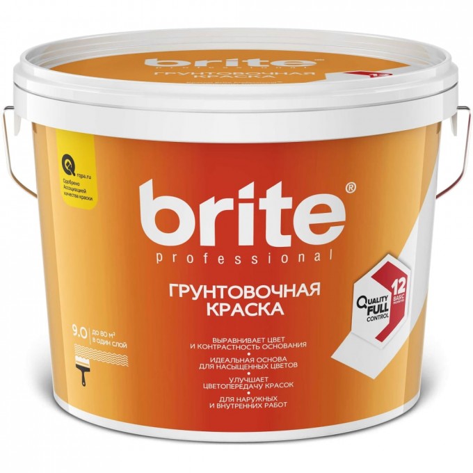 Краска BRITE PROFESSIONAL O05284