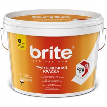 Краска BRITE PROFESSIONAL